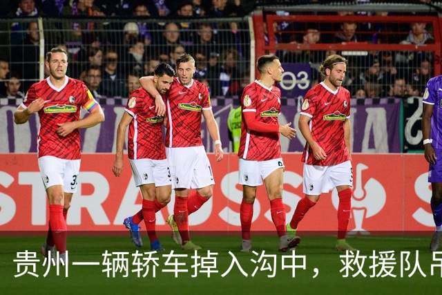 贵州一辆轿车掉入沟中，救援队吊车时钩子脱落，司机被砸中身亡